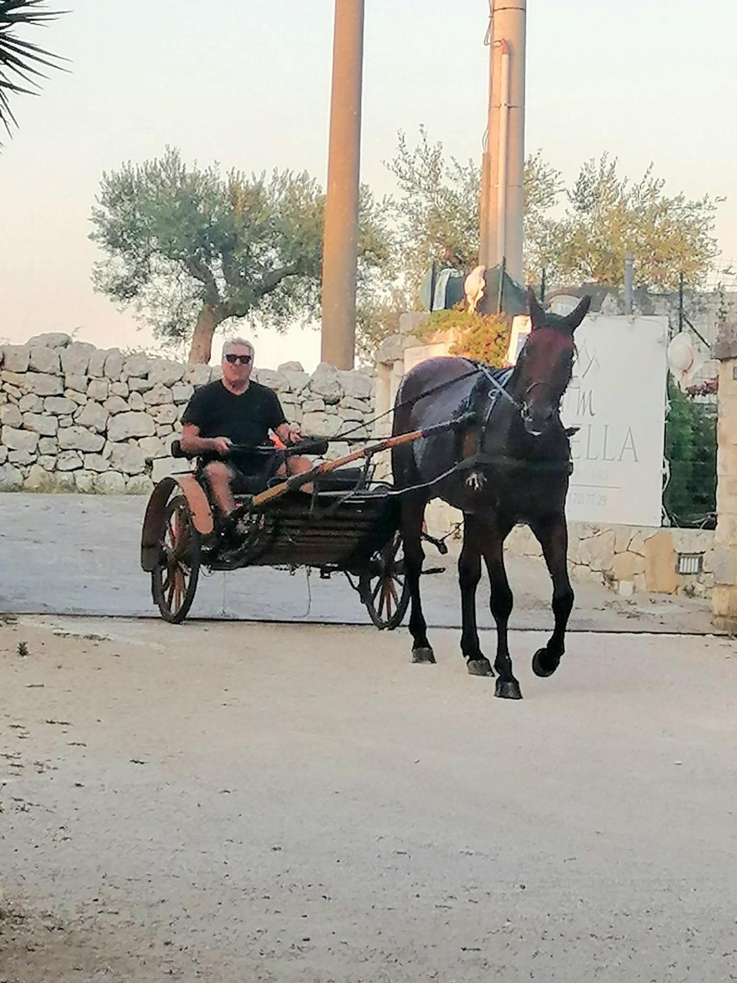 Mirella Charming Bed & Breakfast Alberobello Luaran gambar