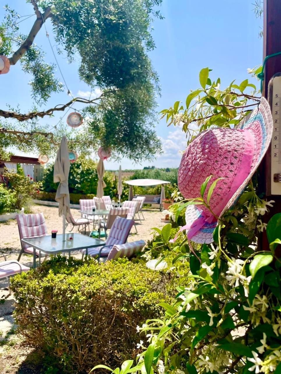 Mirella Charming Bed & Breakfast Alberobello Luaran gambar