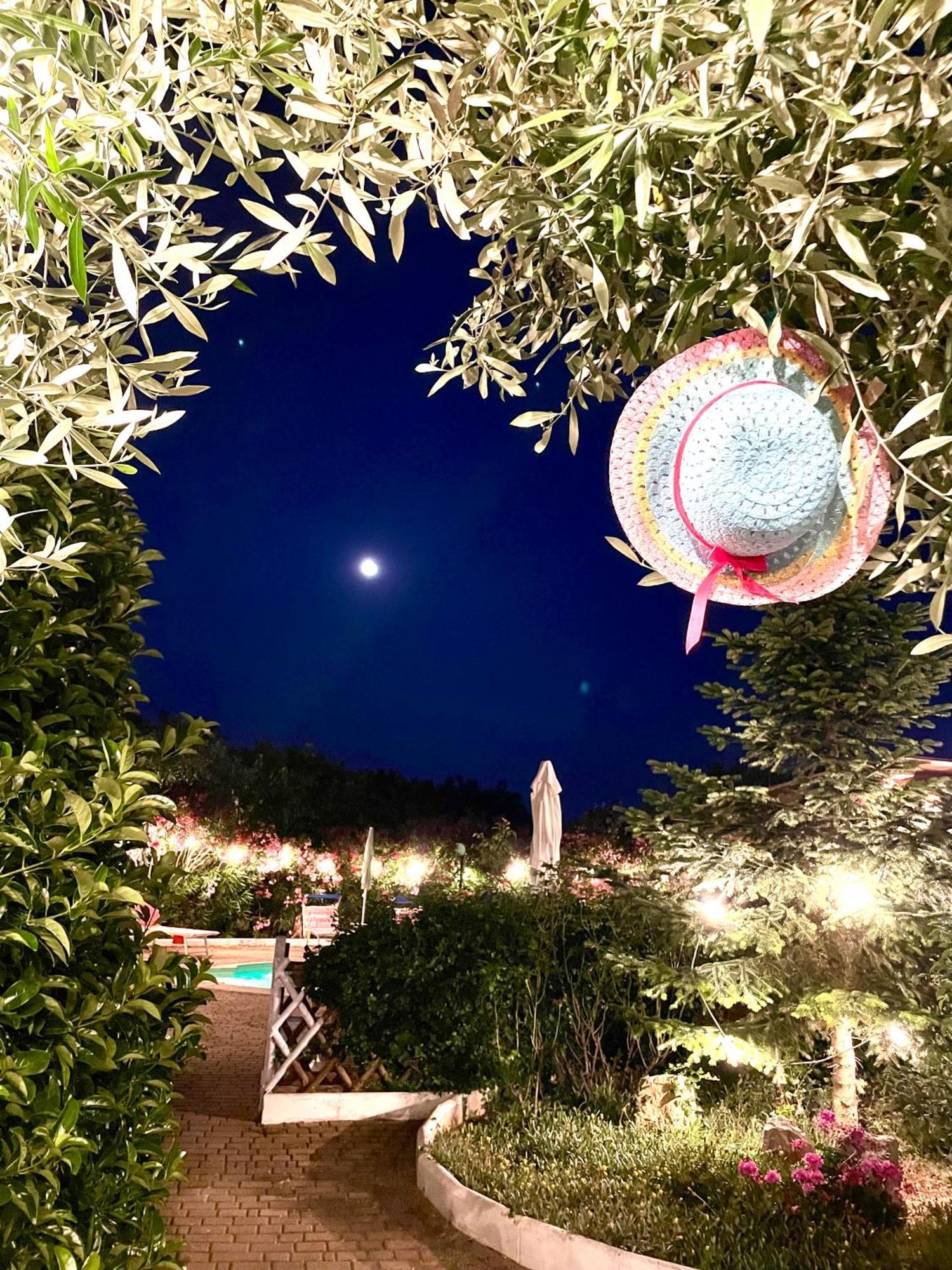 Mirella Charming Bed & Breakfast Alberobello Luaran gambar