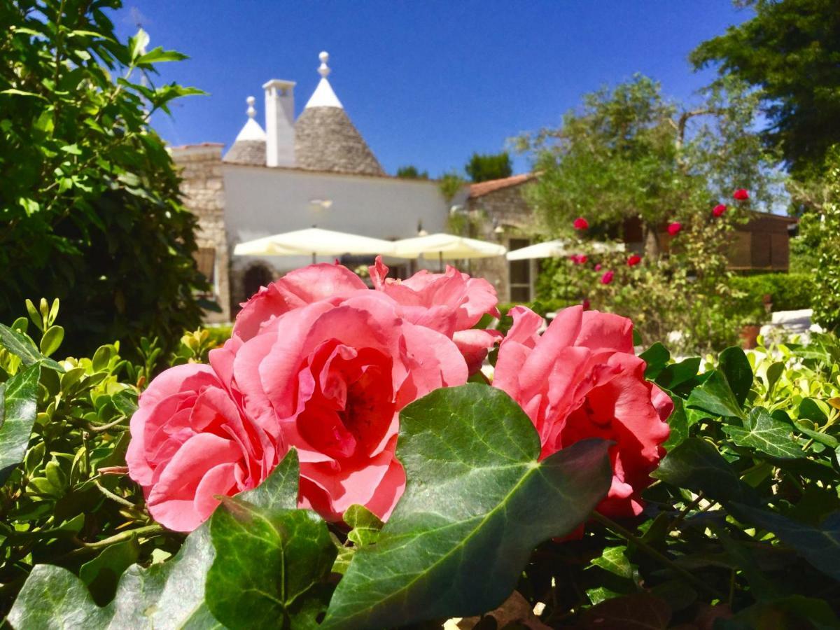 Mirella Charming Bed & Breakfast Alberobello Luaran gambar